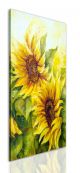 Girasole giallo  S